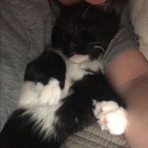 Meet your Posher, Tatum